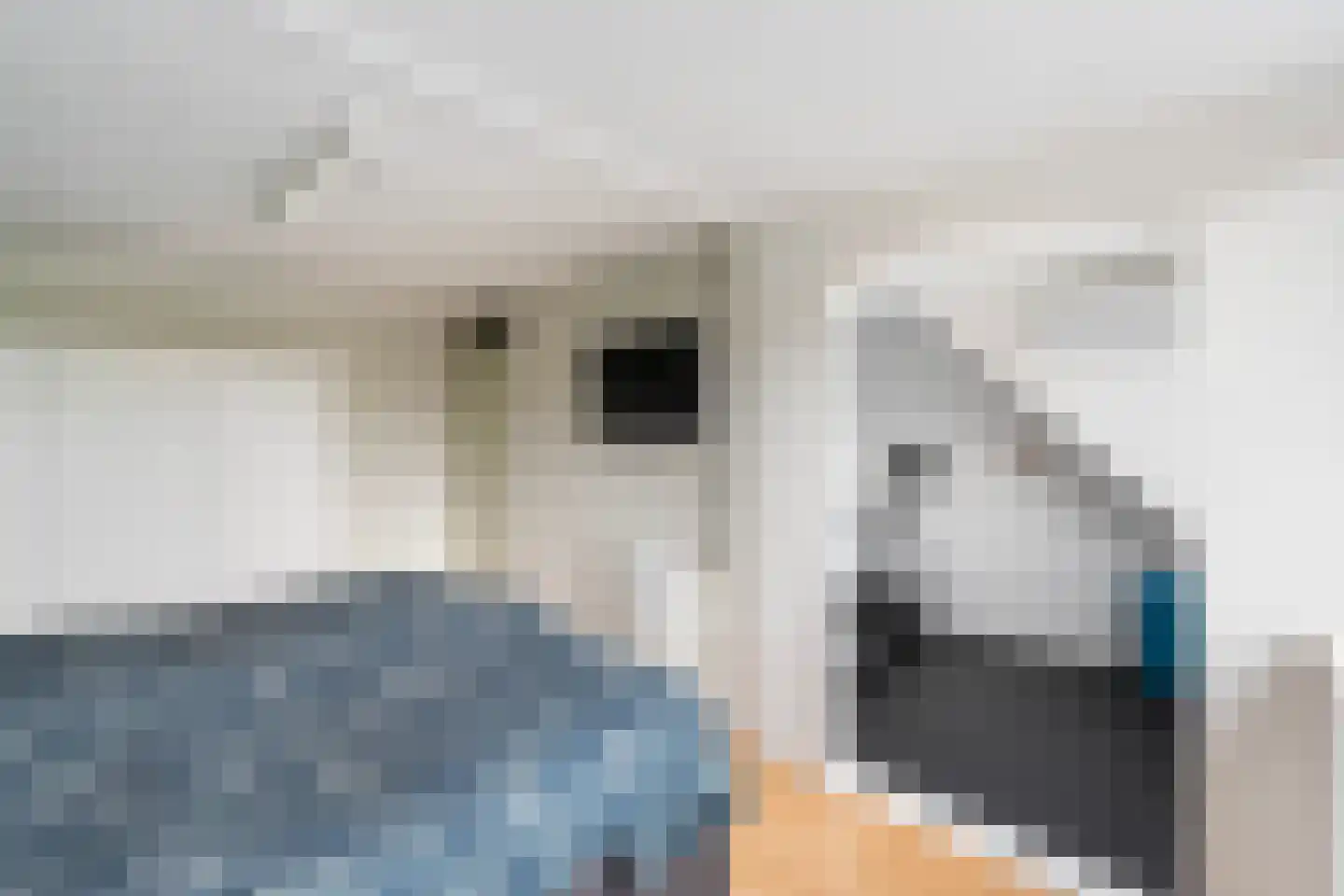 Tesjeslaan 18 Zwolle thumbnail 23