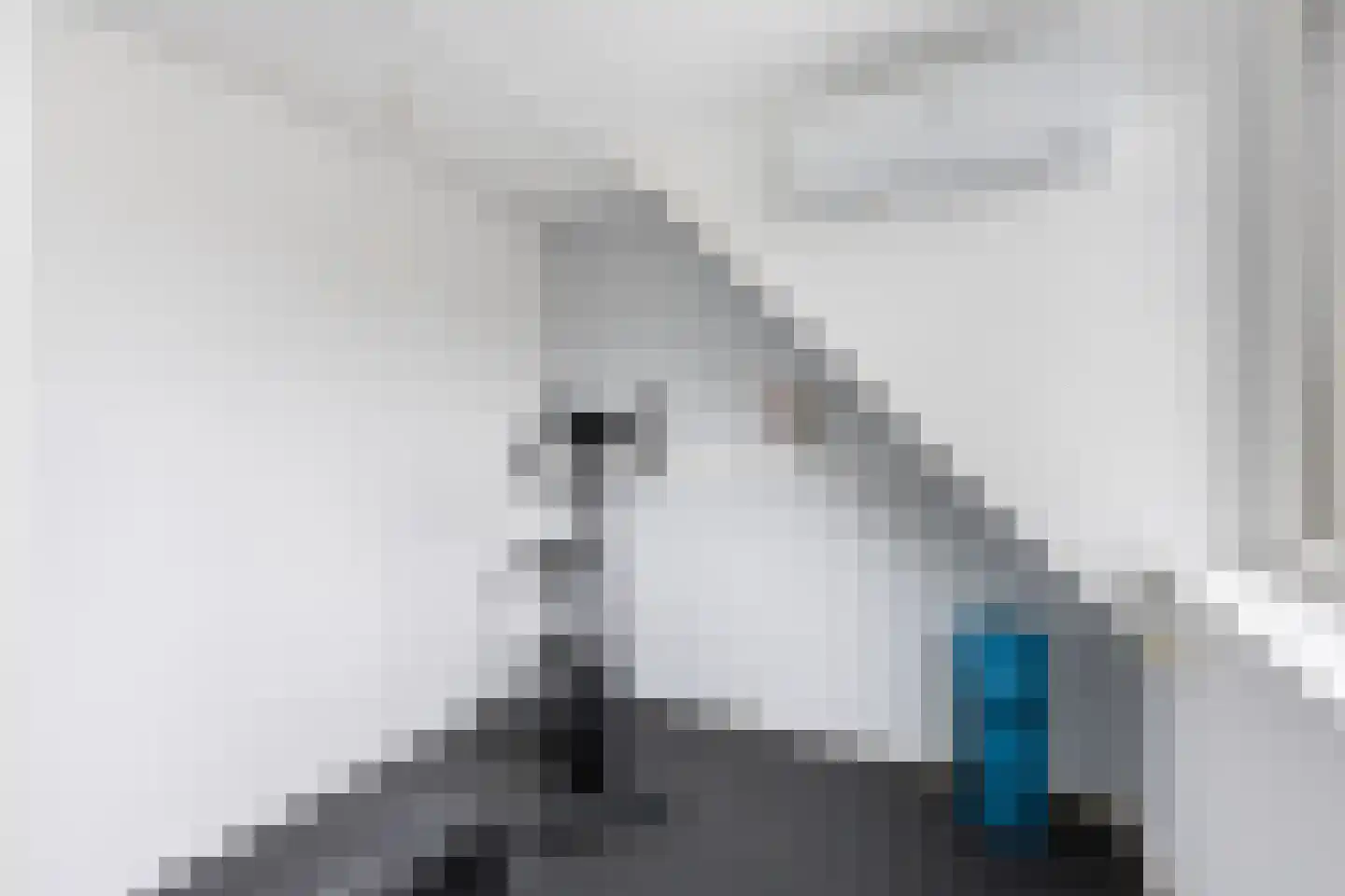 Tesjeslaan 18 Zwolle thumbnail 24