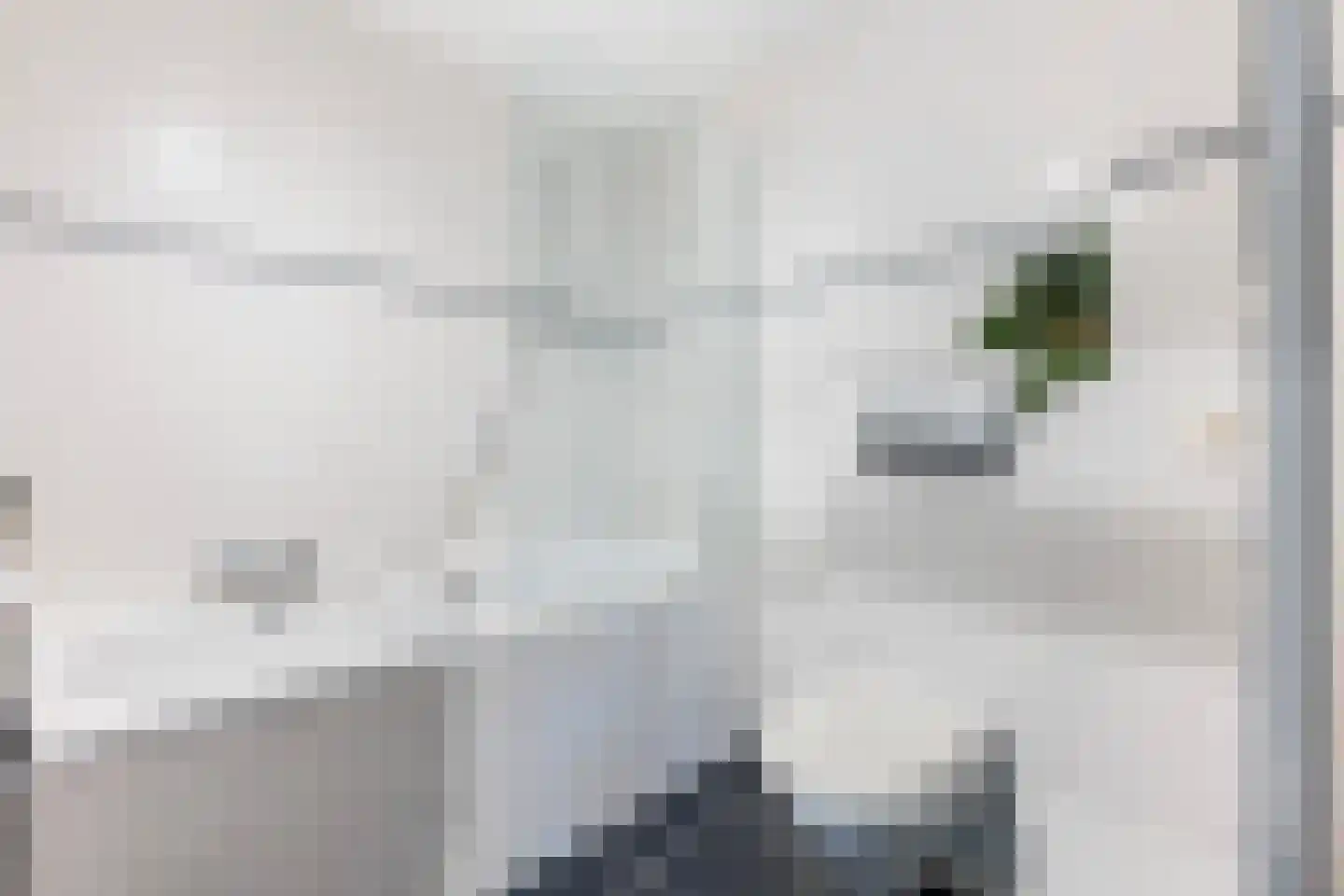 Tesjeslaan 18 Zwolle thumbnail 27