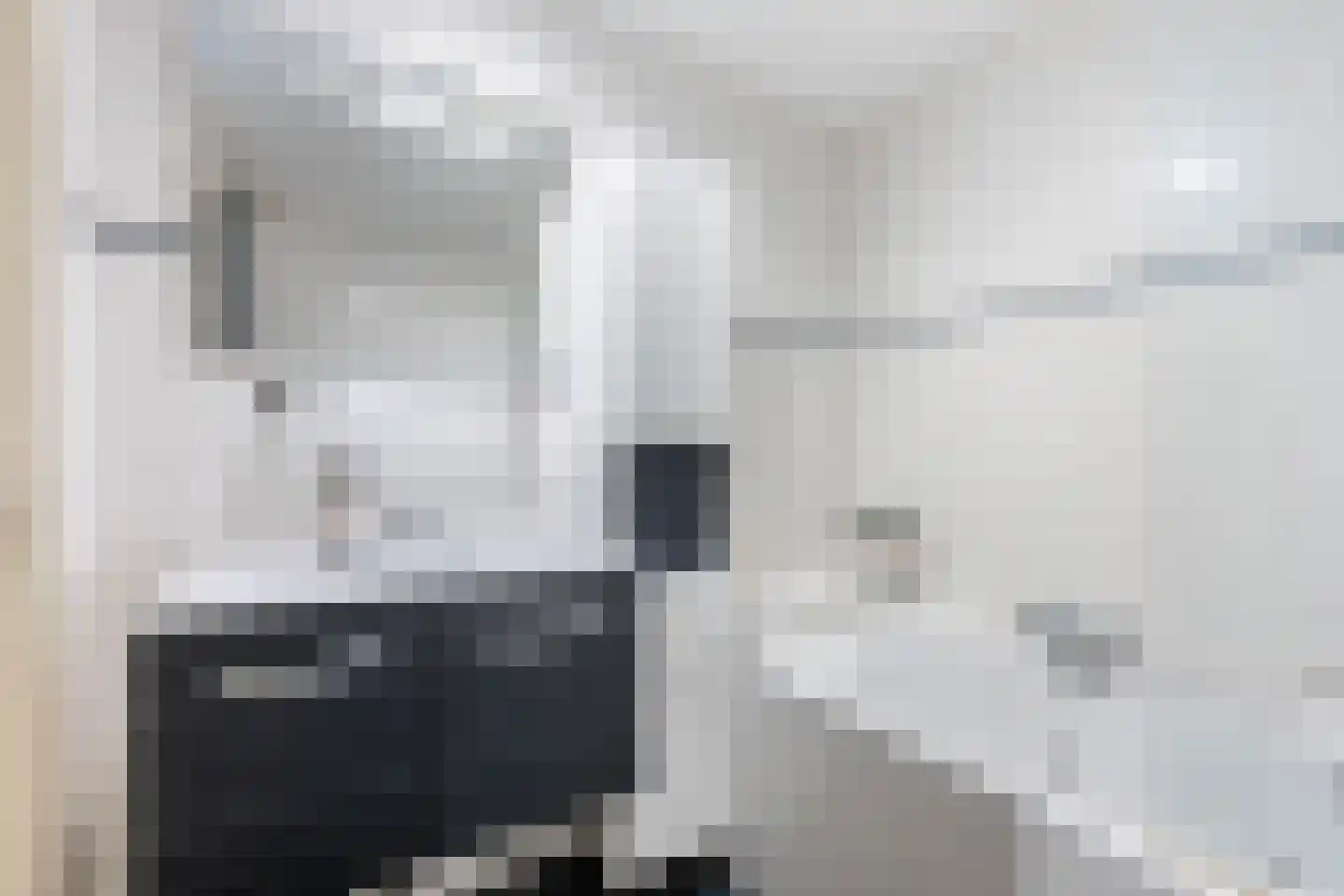 Tesjeslaan 18 Zwolle thumbnail 28