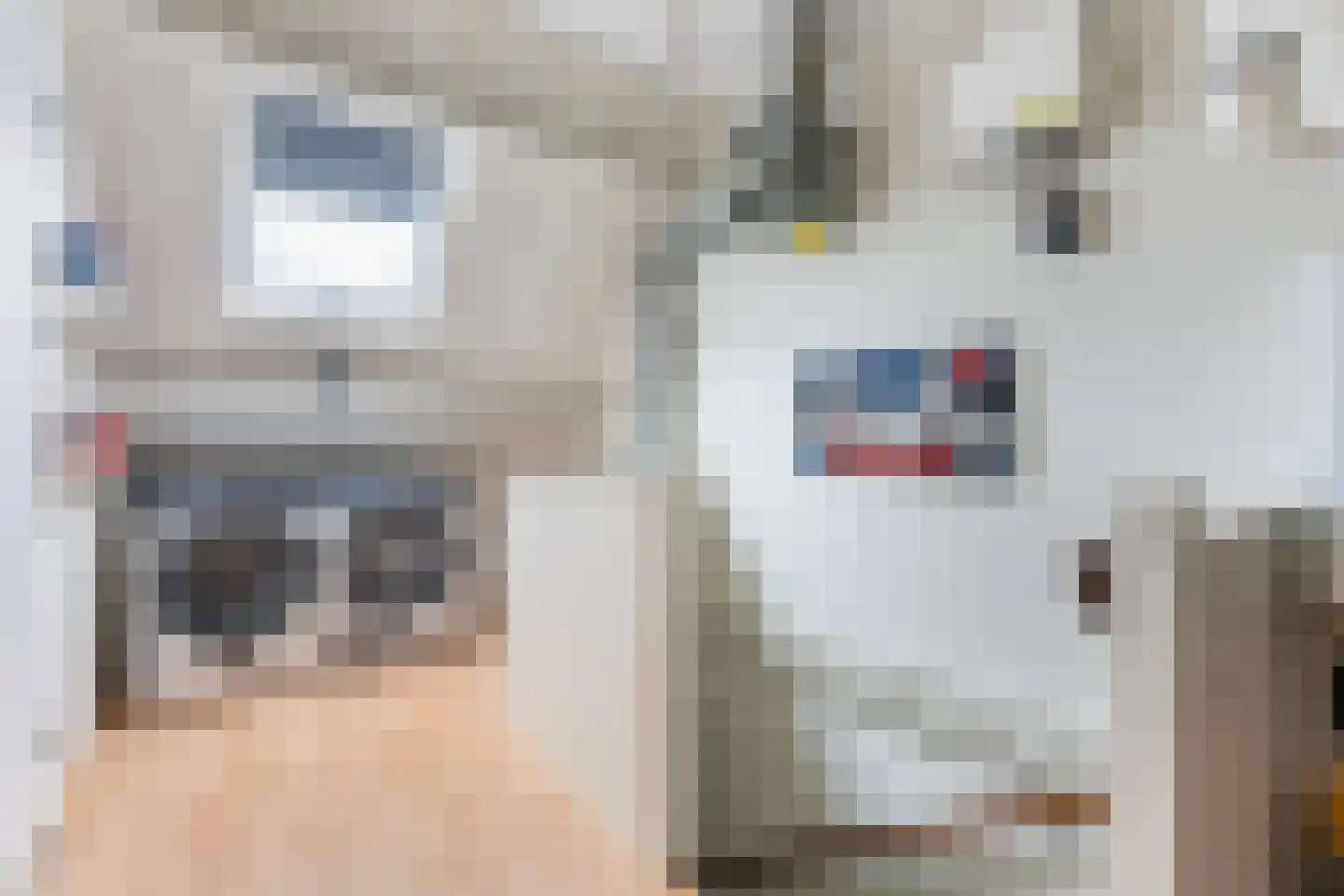 Tesjeslaan 18 Zwolle thumbnail 29