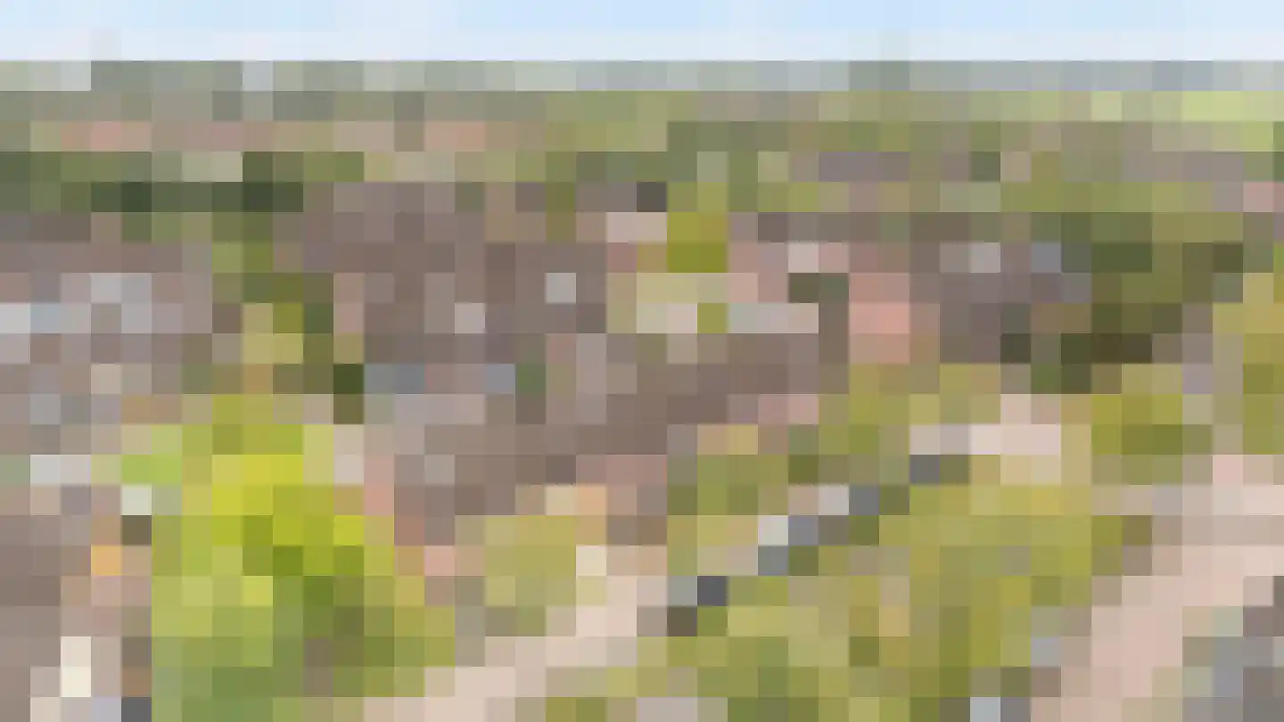 Tesjeslaan 18 Zwolle thumbnail 33
