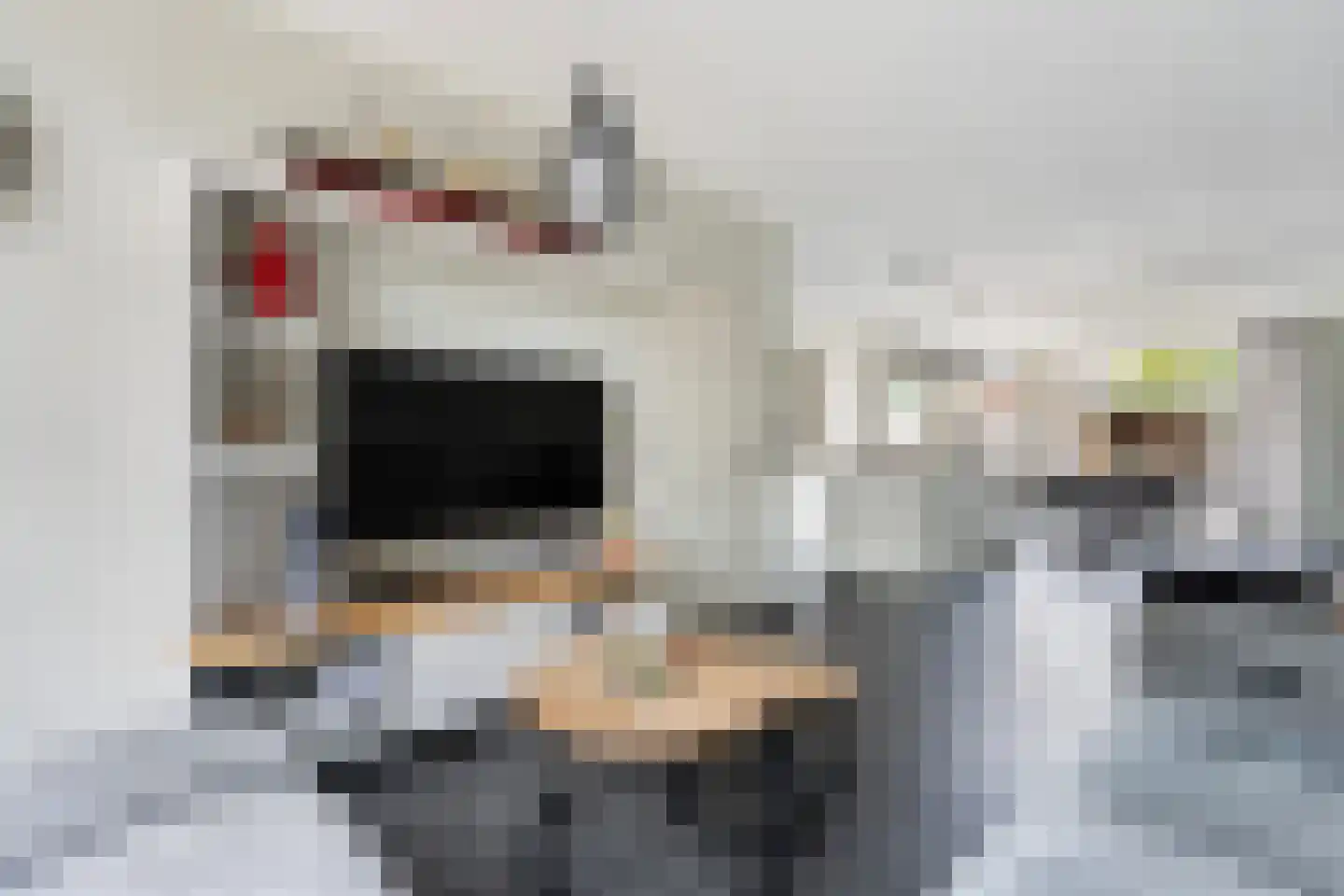 Tesjeslaan 18 Zwolle thumbnail 5
