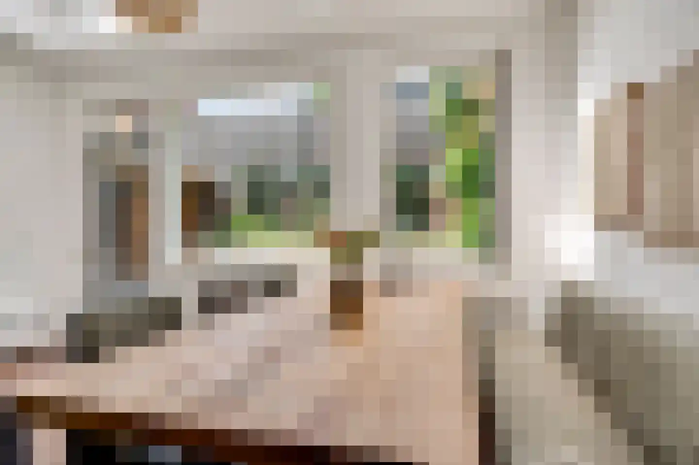 Teskenlaan 33 Heel thumbnail 11