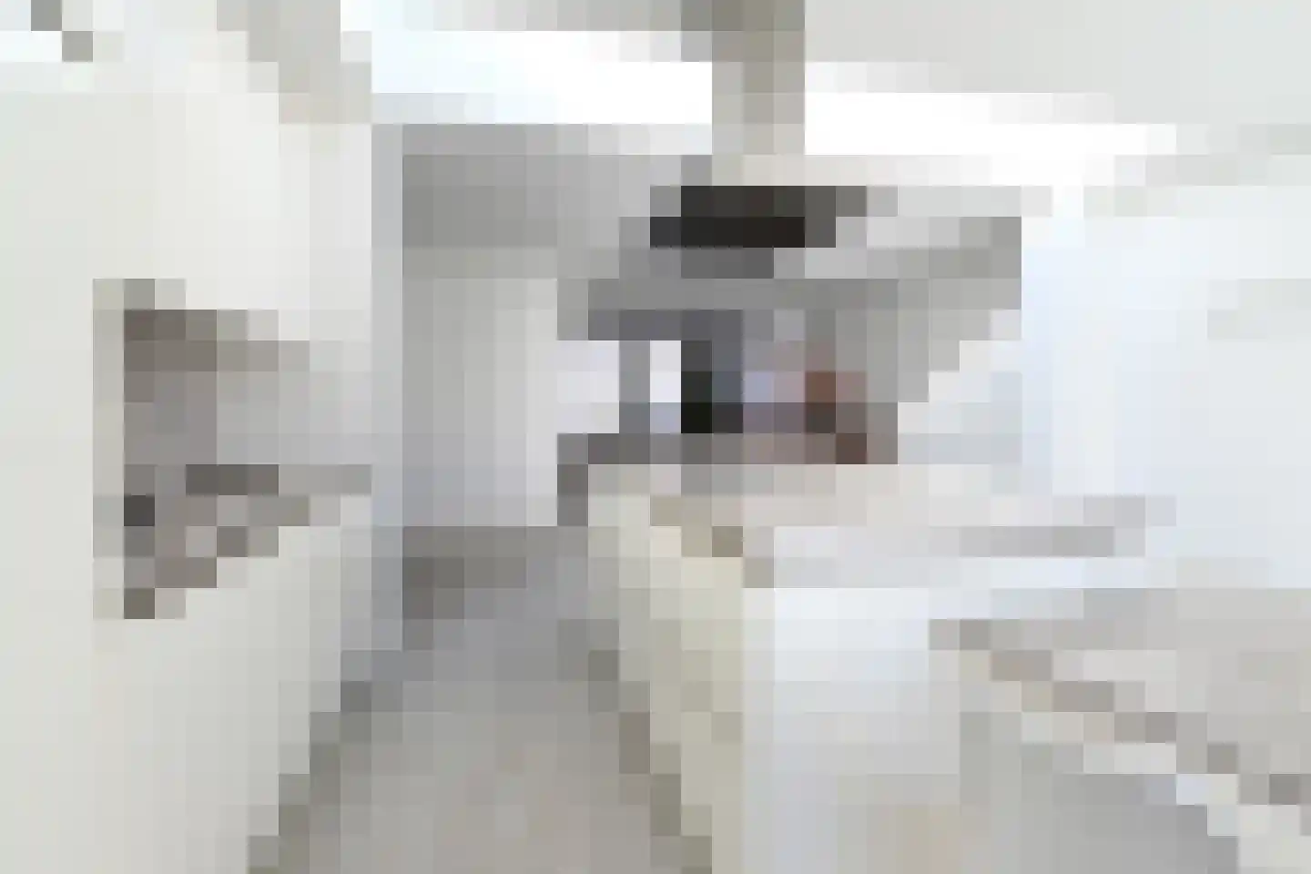 Teskenlaan 40 a Heel thumbnail 12