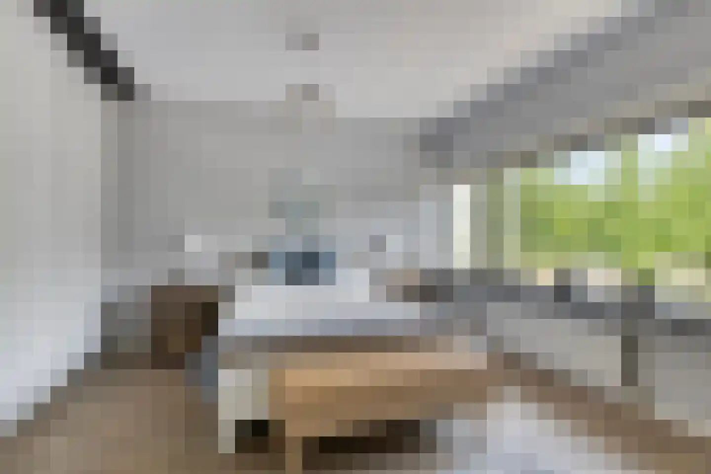 Teslastraat 137 Roosendaal thumbnail 11