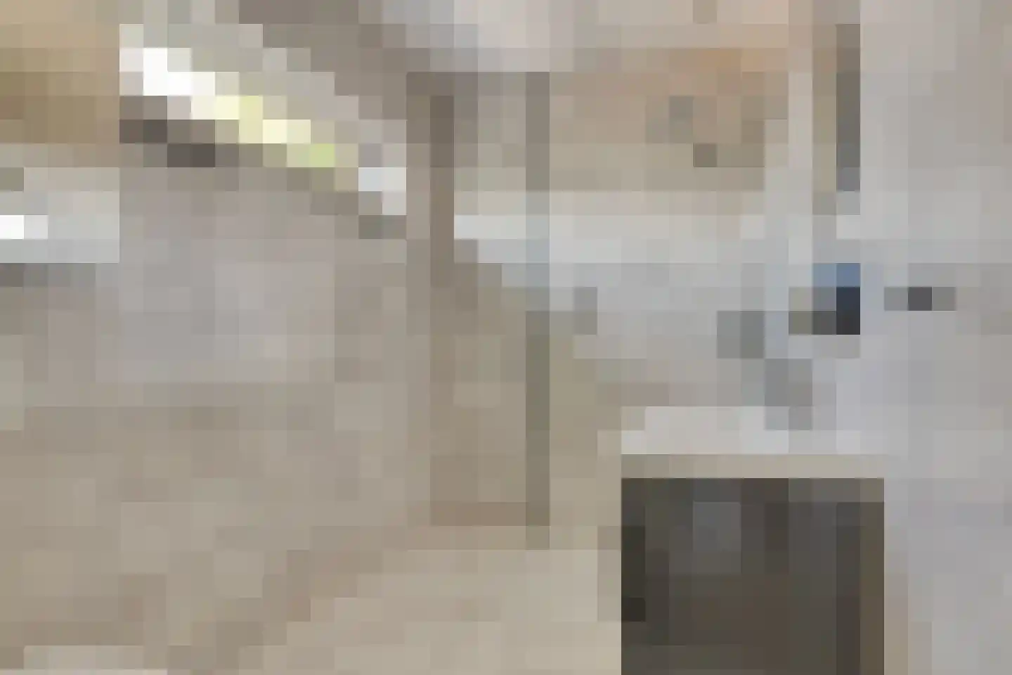 Teslastraat 137 Roosendaal thumbnail 13