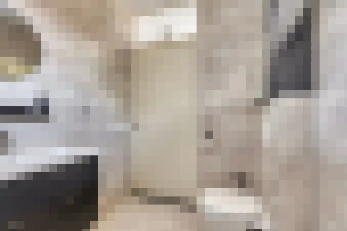 Teslastraat 137 Roosendaal thumbnail 14