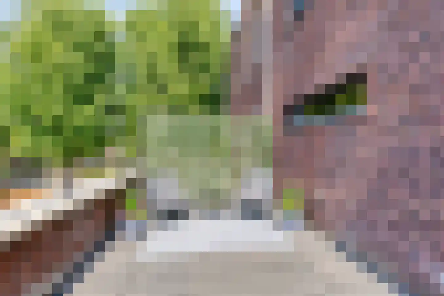 Teslastraat 137 Roosendaal thumbnail 19