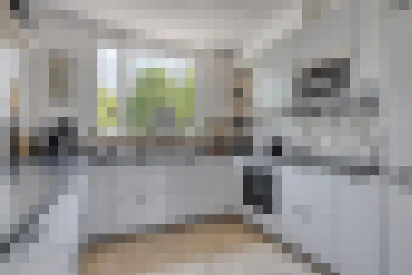 Teslastraat 137 Roosendaal thumbnail 9