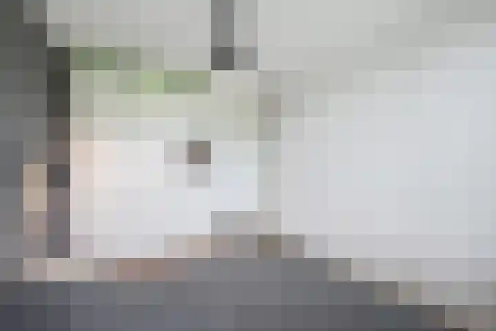 Teslastraat 165 Roosendaal thumbnail 17