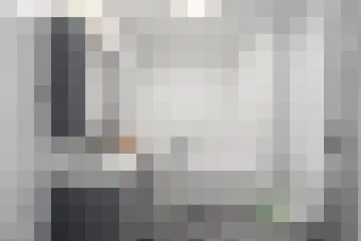 Teslastraat 165 Roosendaal thumbnail 18