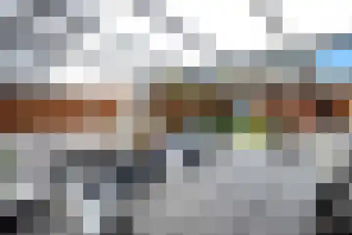 Teslastraat 165 Roosendaal thumbnail 28