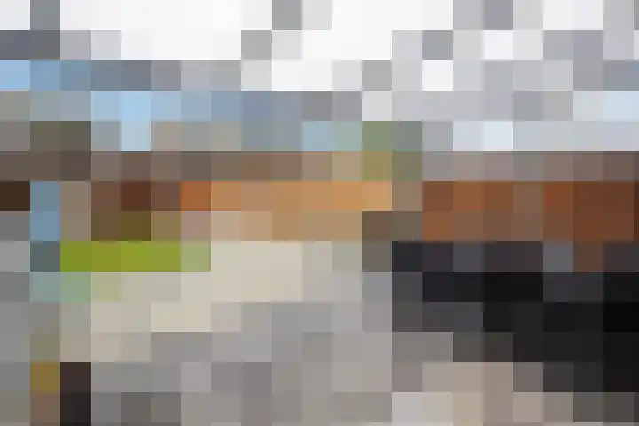 Teslastraat 165 Roosendaal thumbnail 29