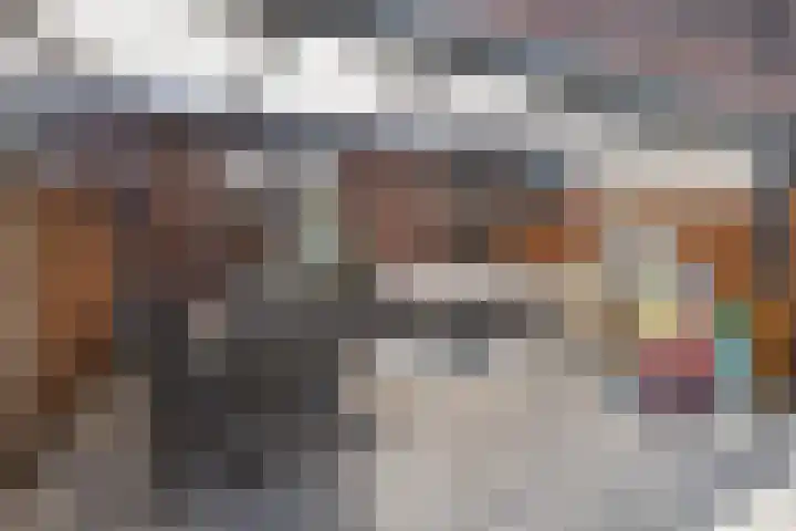 Teslastraat 165 Roosendaal thumbnail 30