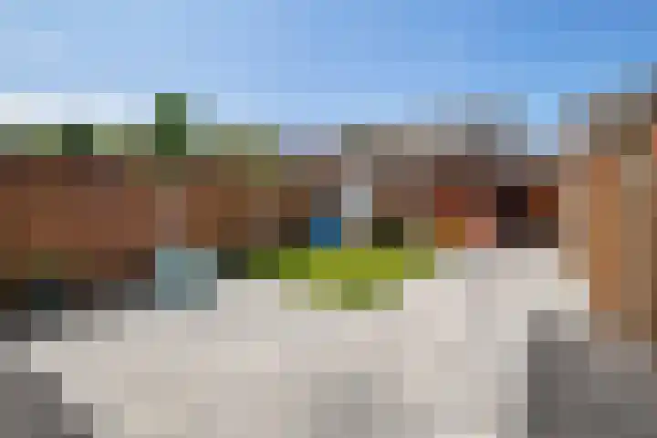 Teslastraat 165 Roosendaal thumbnail 32