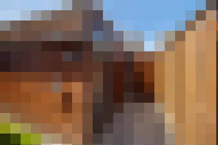 Teslastraat 165 Roosendaal thumbnail 33