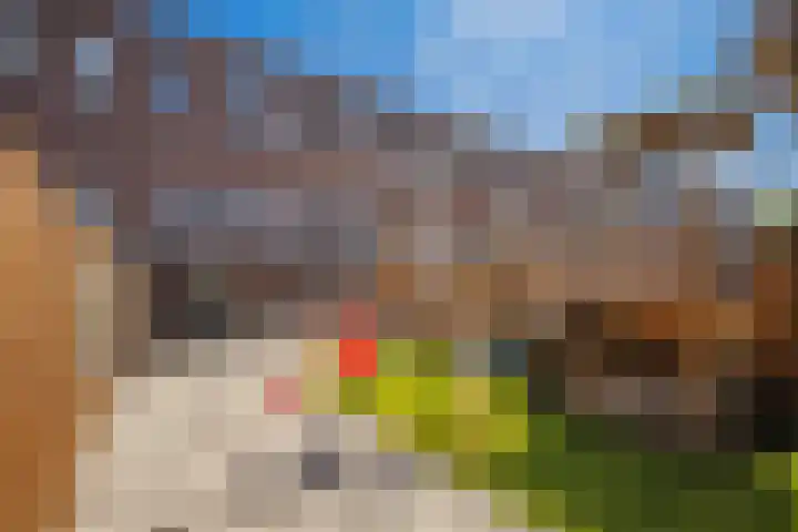 Teslastraat 165 Roosendaal thumbnail 34