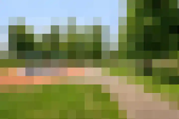 Teslastraat 165 Roosendaal thumbnail 43