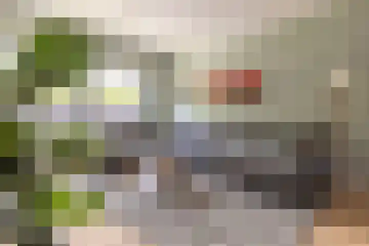 Teslastraat 197 Roosendaal thumbnail 12