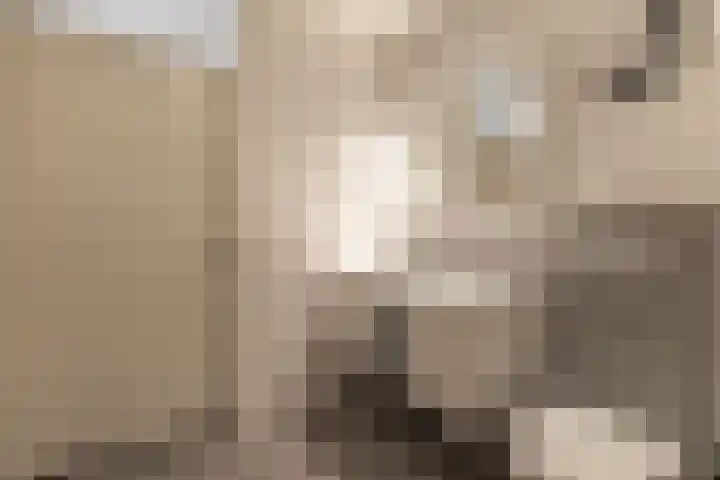Teslastraat 197 Roosendaal thumbnail 26