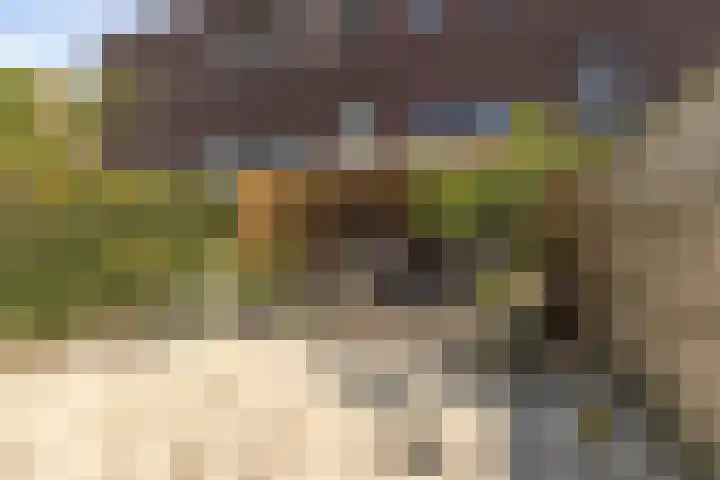 Teslastraat 197 Roosendaal thumbnail 28