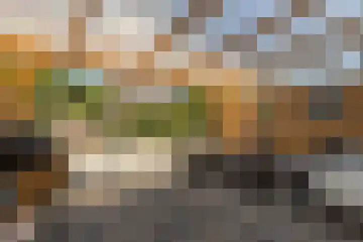 Teslastraat 197 Roosendaal thumbnail 31