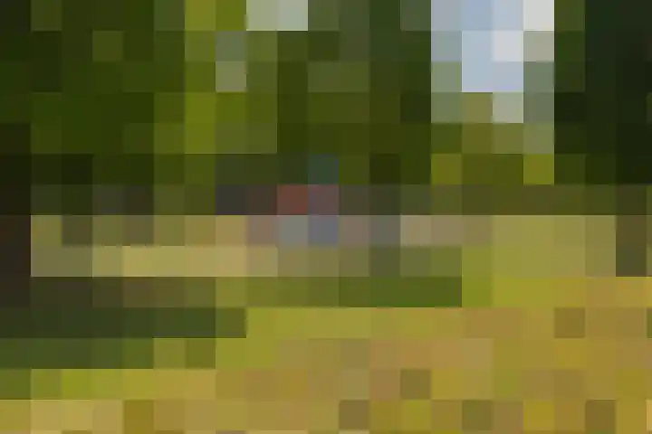 Teslastraat 197 Roosendaal thumbnail 33