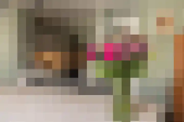 Teslastraat 197 Roosendaal thumbnail 7