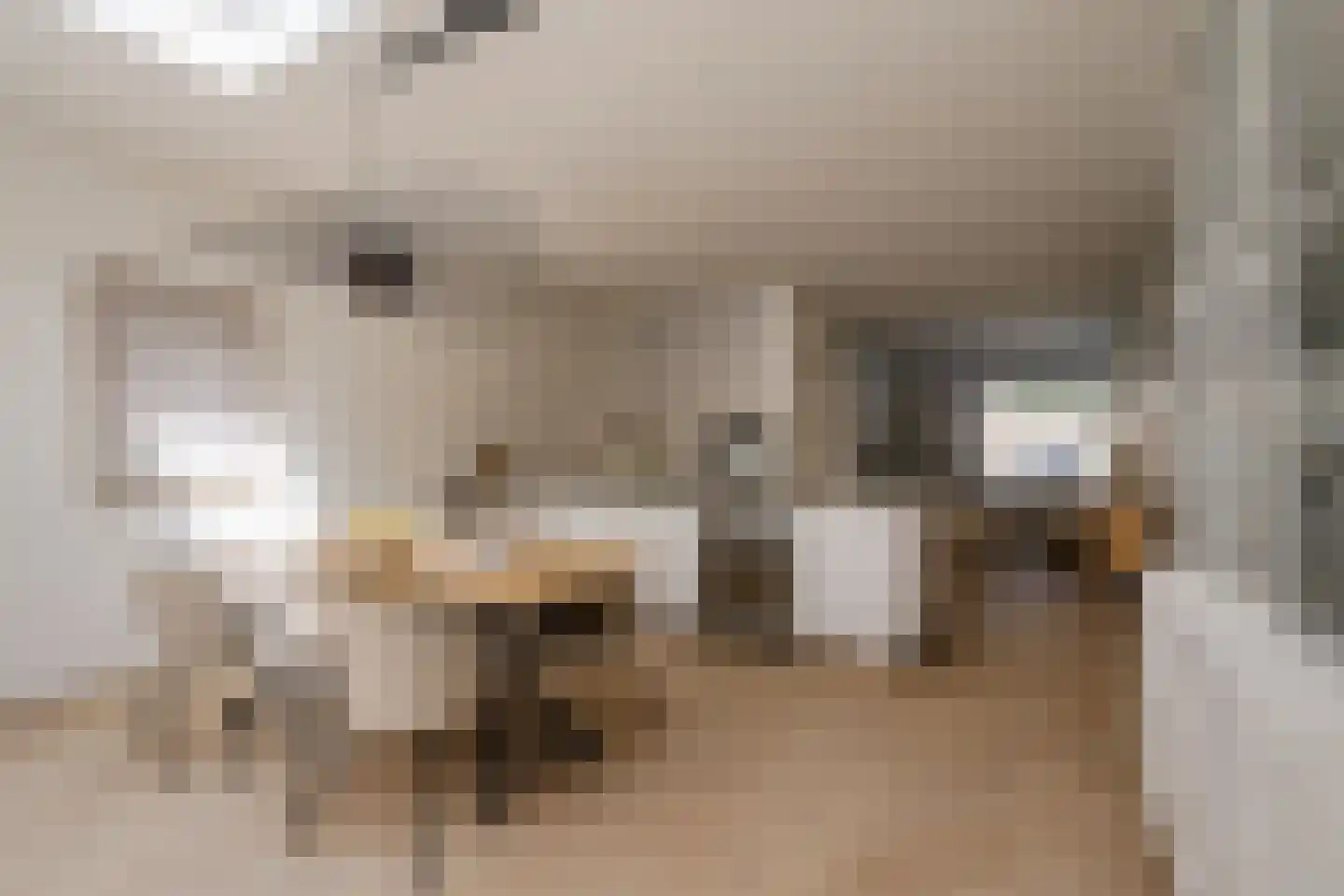 Teslastraat 53 Haarlem thumbnail 15