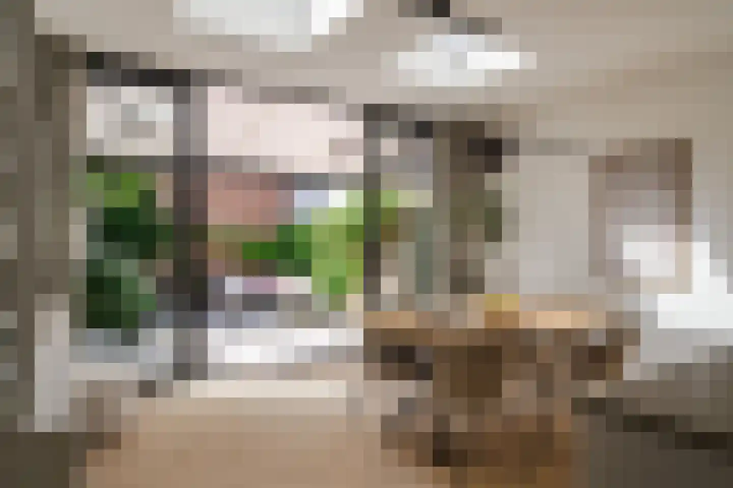 Teslastraat 53 Haarlem thumbnail 19