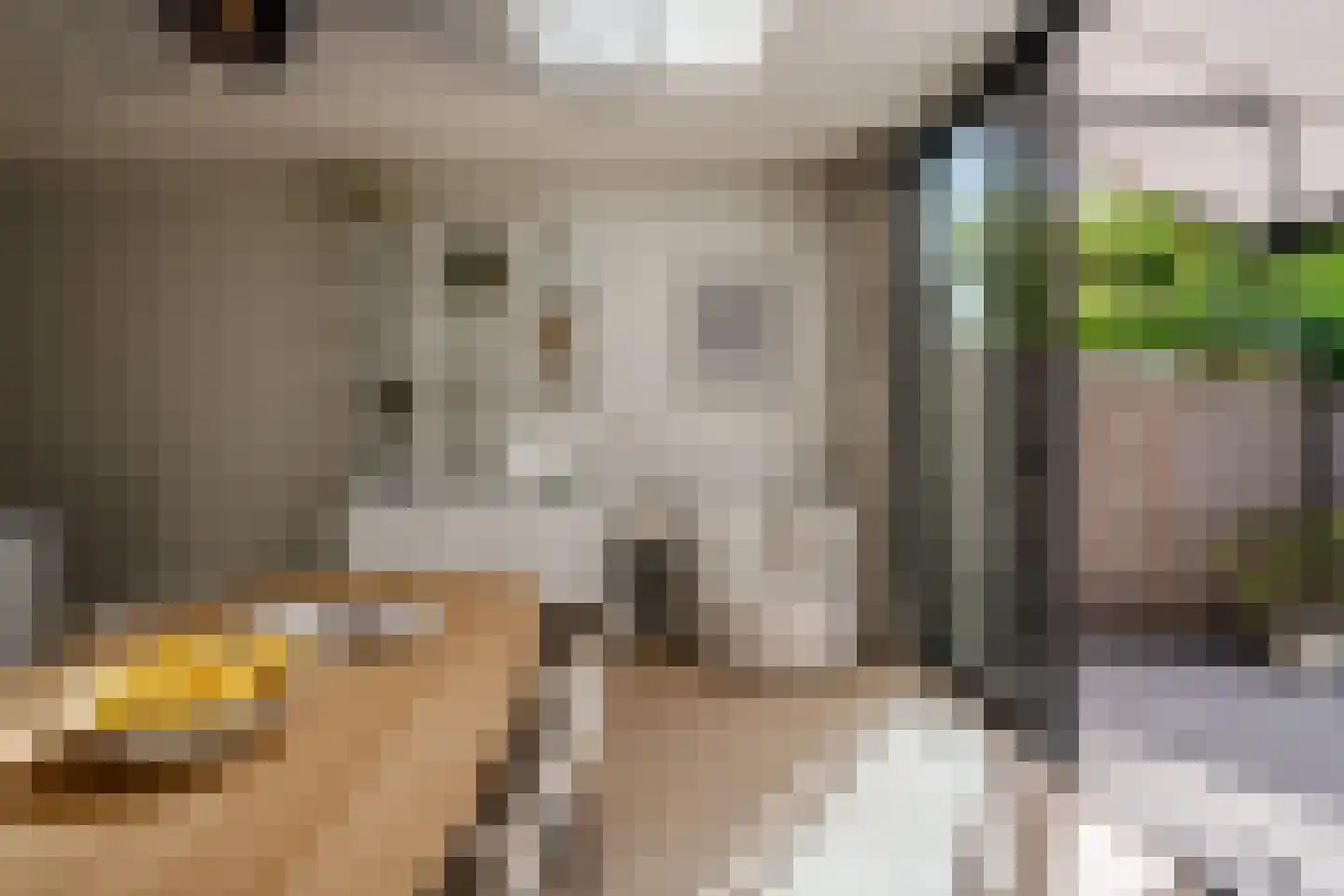 Teslastraat 53 Haarlem thumbnail 21