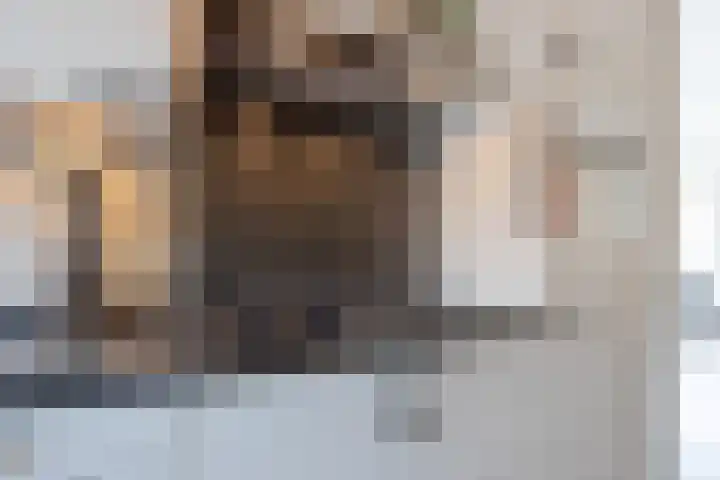 Tesselmansgoed 19 Maasbree thumbnail 17