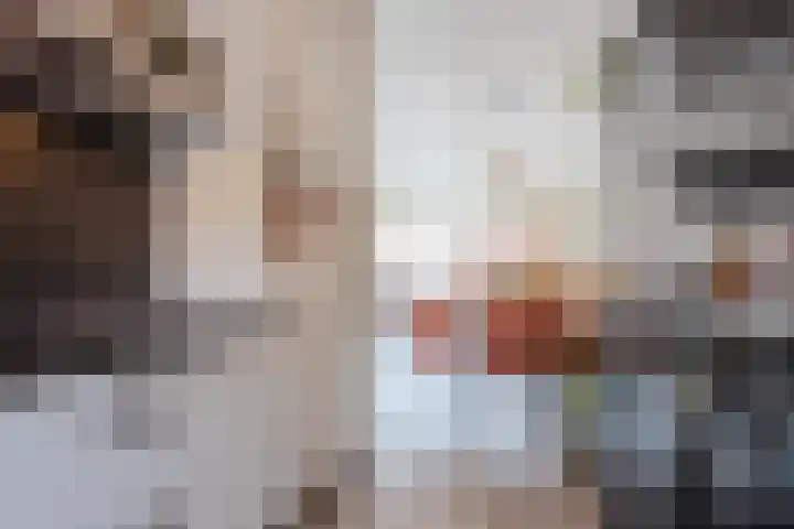 Tesselmansgoed 19 Maasbree thumbnail 18