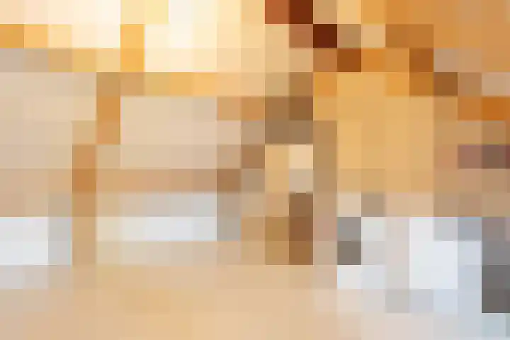 Tesselmansgoed 19 Maasbree thumbnail 29