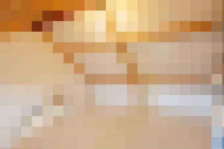 Tesselmansgoed 19 Maasbree thumbnail 30
