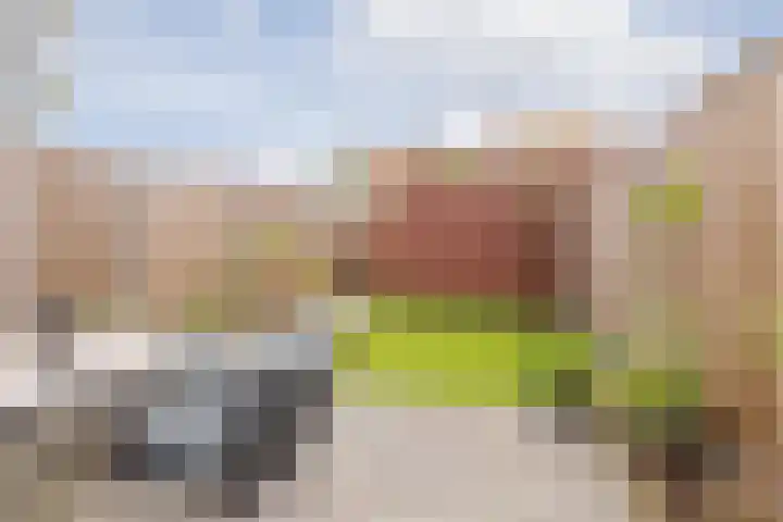Tesselmansgoed 19 Maasbree thumbnail 31