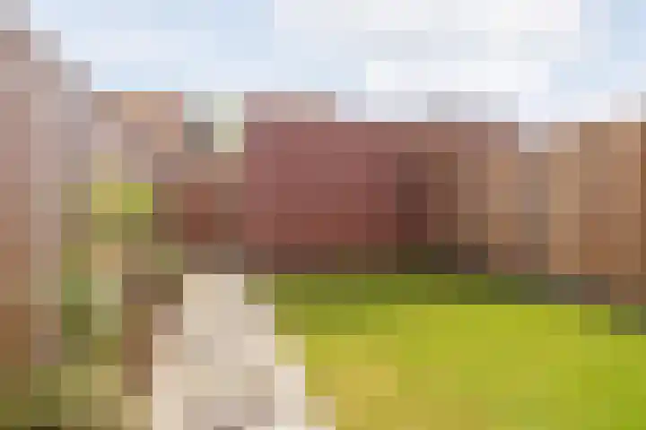 Tesselmansgoed 19 Maasbree thumbnail 32