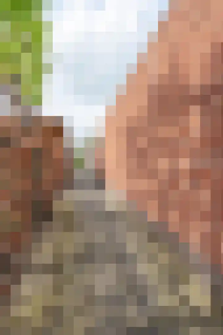 Tesselmansgoed 19 Maasbree thumbnail 36