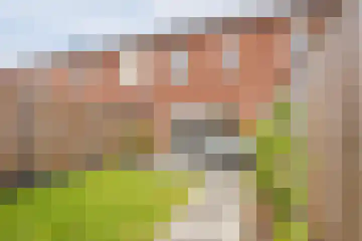 Tesselmansgoed 19 Maasbree thumbnail 37