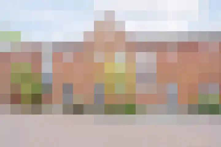 Tesselmansgoed 19 Maasbree thumbnail 40
