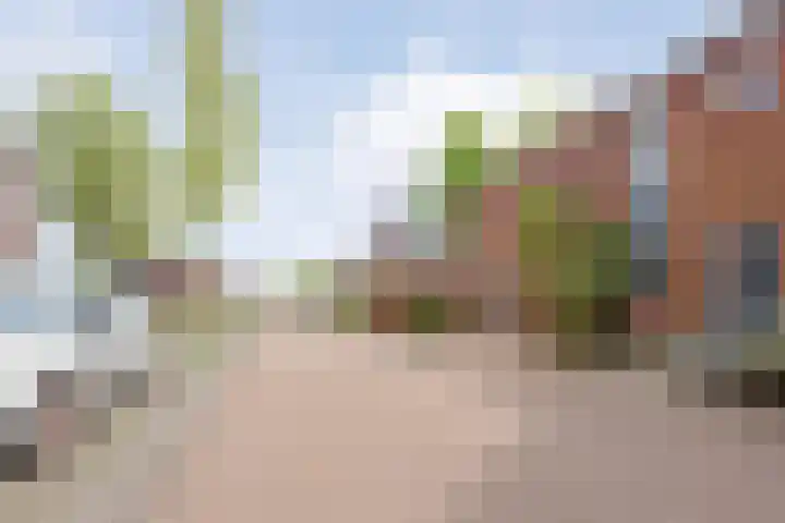 Tesselmansgoed 19 Maasbree thumbnail 42