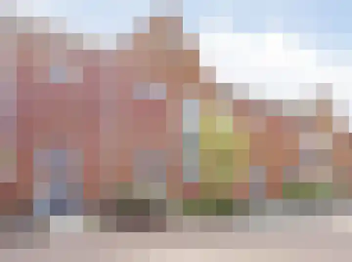 Tesselmansgoed 19 Maasbree thumbnail 7