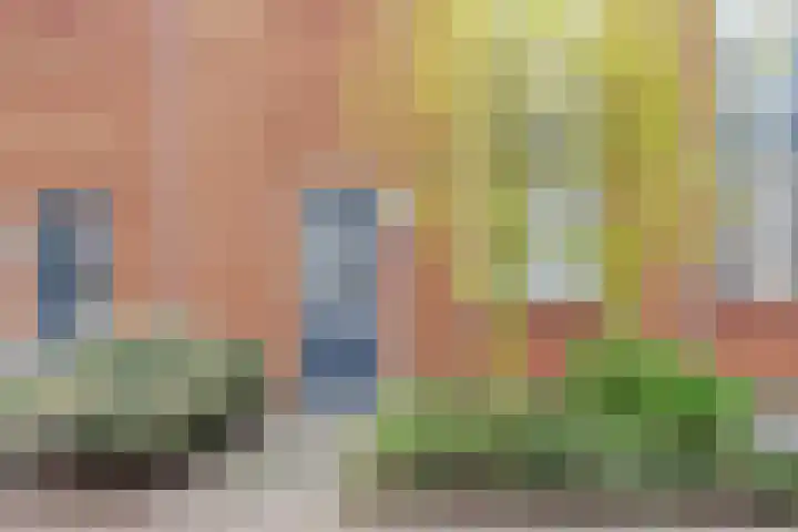 Tesselmansgoed 19 Maasbree thumbnail 8