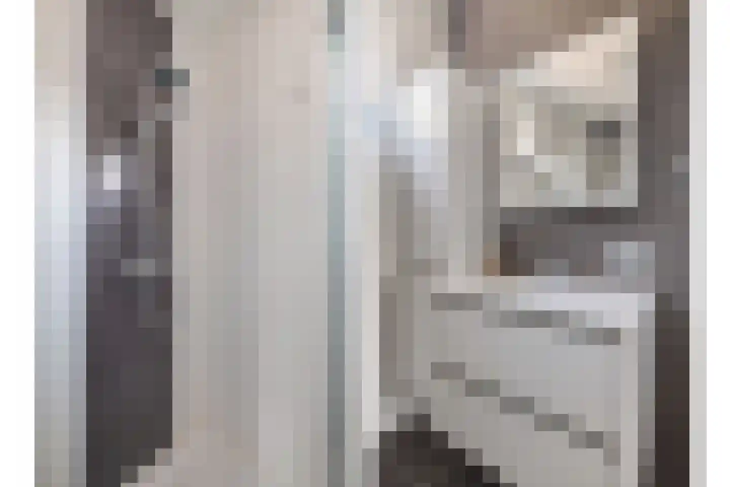Tesselmansgoed 21 Maasbree thumbnail 13