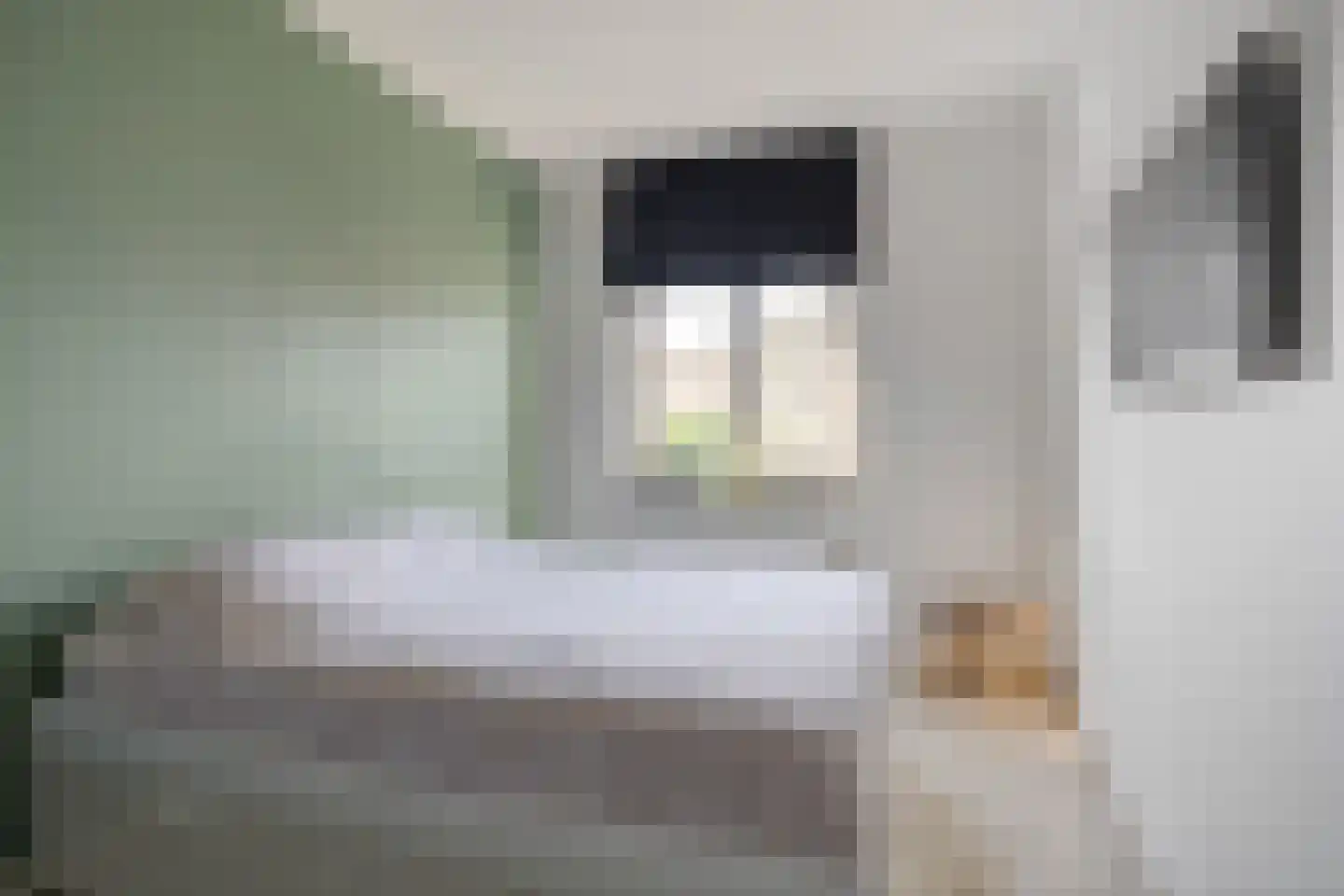Tesselmansgoed 21 Maasbree thumbnail 18