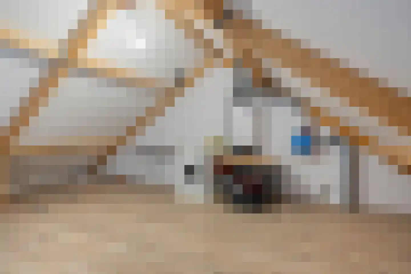 Tesselmansgoed 21 Maasbree thumbnail 20