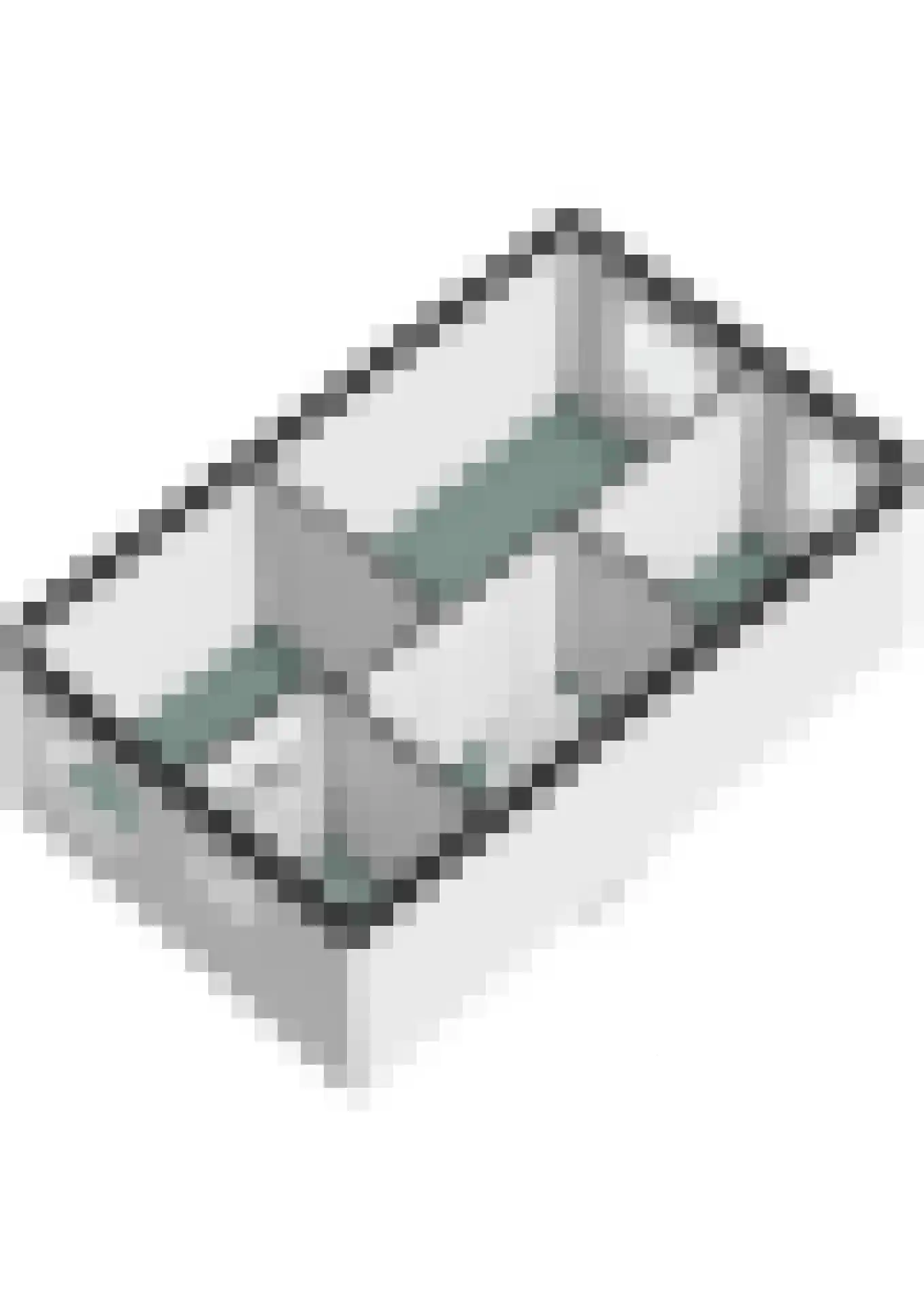 Tesselmansgoed 21 Maasbree thumbnail 33
