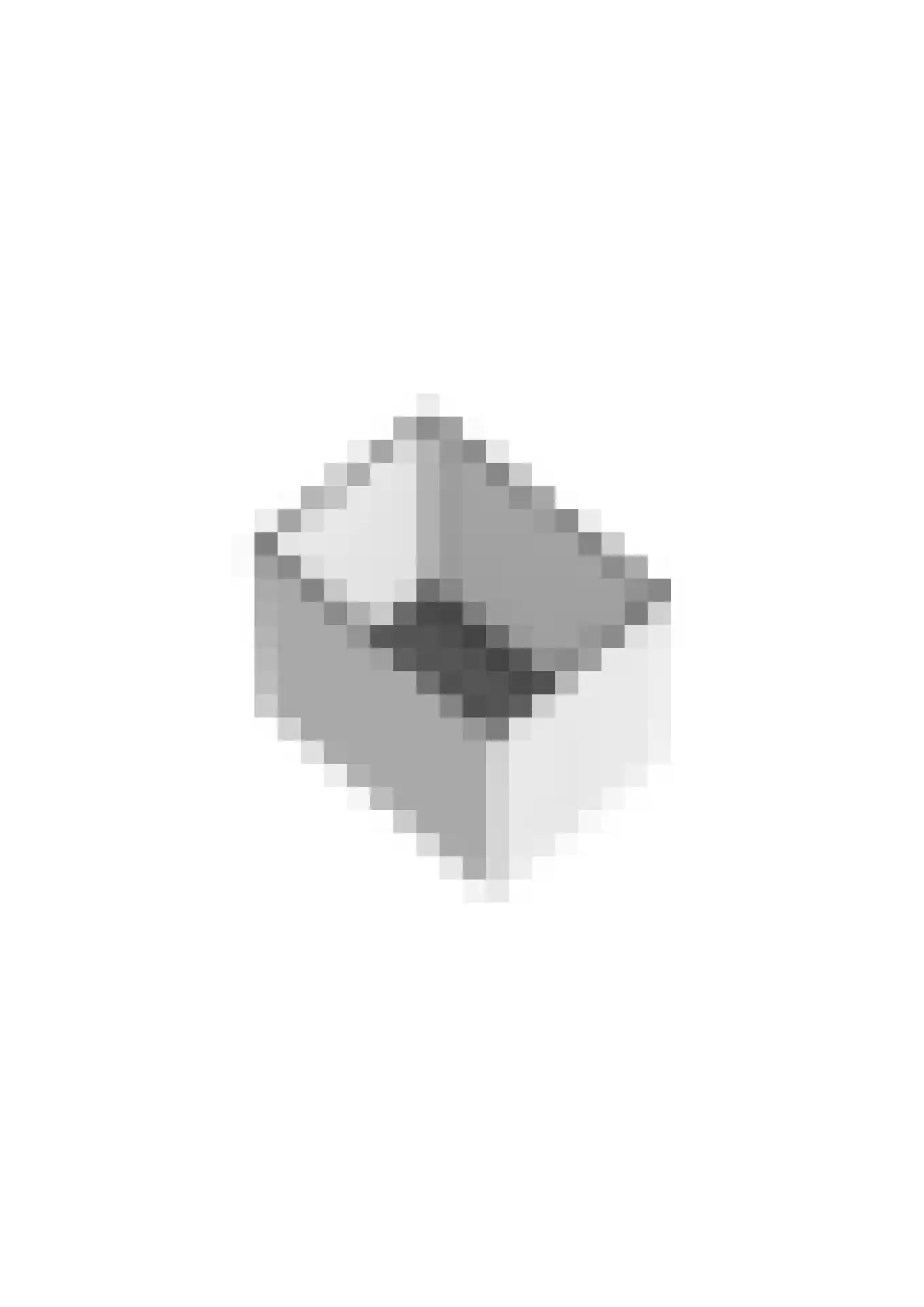 Tesselmansgoed 21 Maasbree thumbnail 37