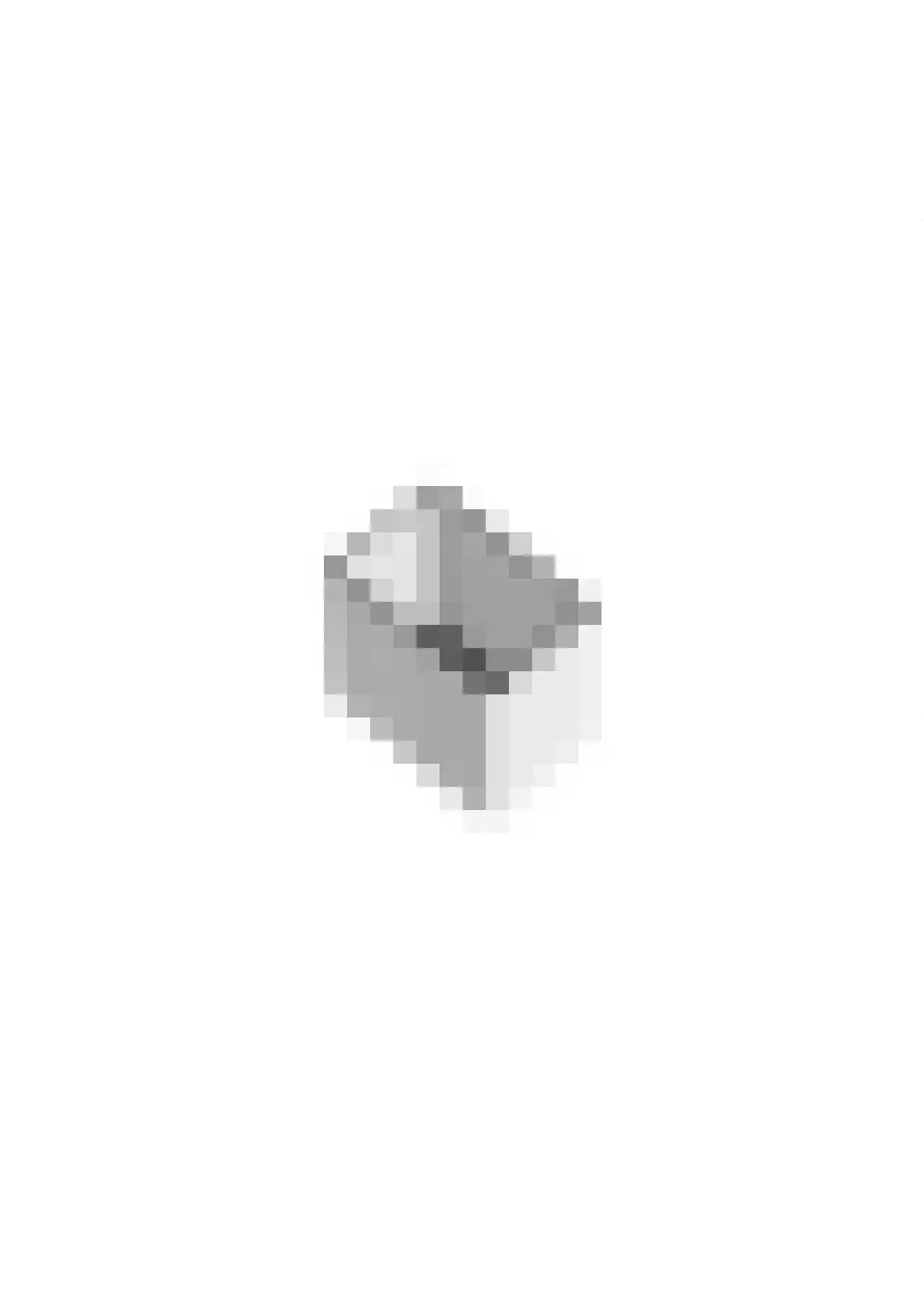 Tesselmansgoed 28 Maasbree thumbnail 37